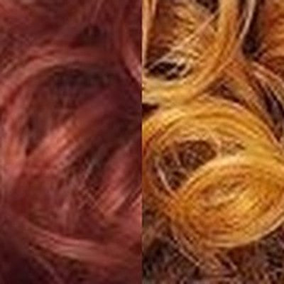 350/Ginger